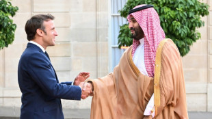 L&iacute;deres de Francia y Arabia Saudita prometen cooperar para "atenuar" efectos de guerra en Ucrania