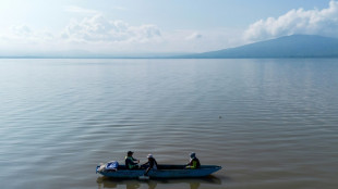 Au Mexique, indigènes et scientifiques au chevet d'un fascinant amphibien