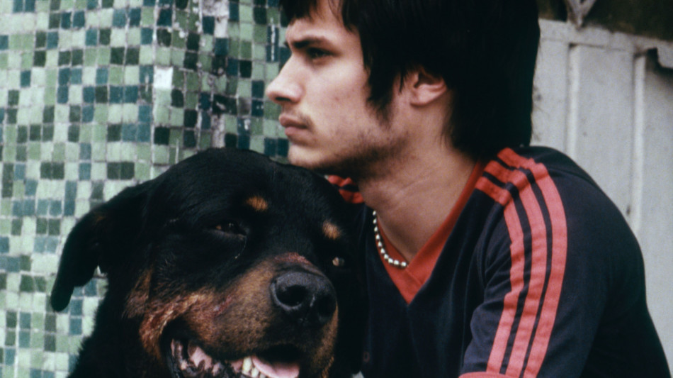  Il 10 luglio arriva su Mubi l'opera prima di Inarritu, Amores Perros, restaurato in 4k 
