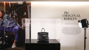 Domani all'asta la prima Birkin, la Peta chiede "incassi etici"