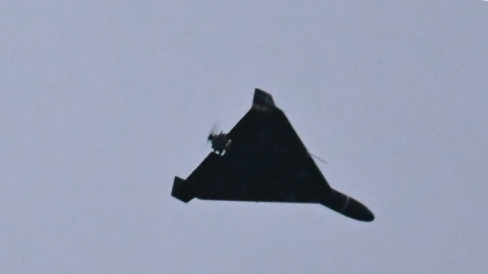 Zelensky says 11 countries asking Ukraine for drone help against Iran