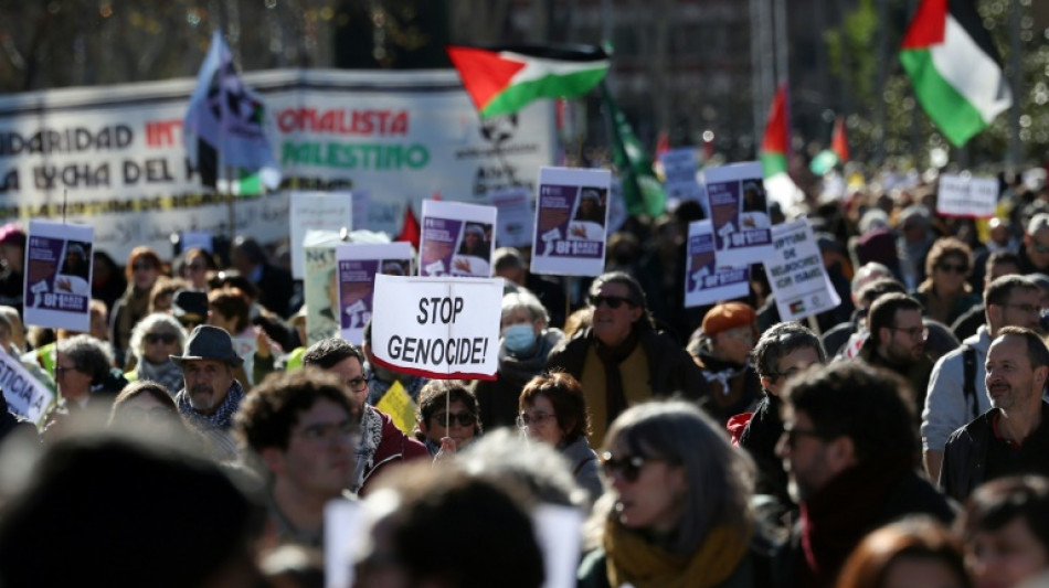 Milhares de pessoas protestam na Espanha para pedir fim do 'genoc&iacute;dio na Palestina'