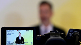 FDP-Fraktionschef D&uuml;rr mahnt zu Eile bei Steuergesetz - Beschluss vor Weihnachten