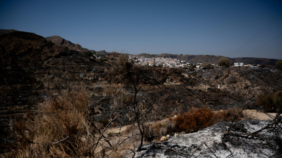  Nueve extranjeros entre los 13 fallecidos del incendio en Andaluc&iacute;a 