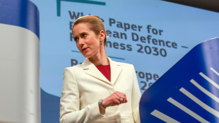 Saliti a 14 Paesi Ue che chiedono deroghe Patto per spese difesa