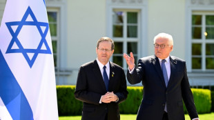 Steinmeier reist mit Israels Präsident Herzog nach Jerusalem
