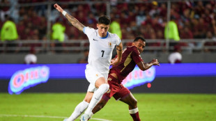 Palmeiras anuncia contrata&ccedil;&atilde;o do volante uruguaio Emiliano Mart&iacute;nez