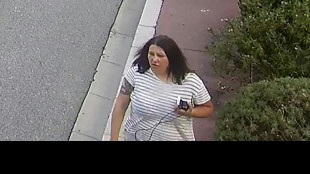 Police hunt for Ukrainian woman over Monaco bomb attack