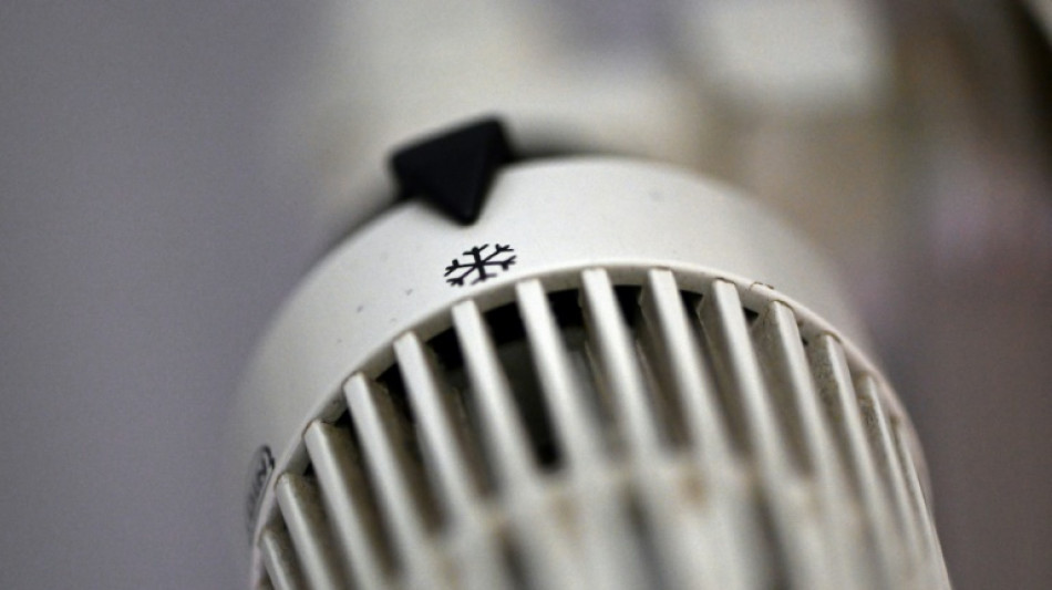 Alemania entrar&iacute;a en recesi&oacute;n si se cortara el suministro de gas ruso (institutos)