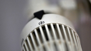 Alemania entrar&iacute;a en recesi&oacute;n si se cortara el suministro de gas ruso (institutos)