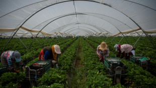 Un muerto y 39 heridos deja un accidente de bus con trabajadores temporales en Espa&ntilde;a