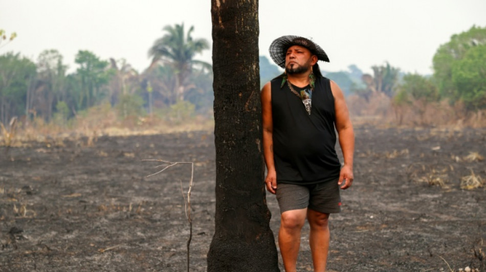 El avance de Fl&aacute;vio Bolsonaro alarma a los guardianes de la Amazon&iacute;a brasile&ntilde;a 