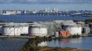 IEA: Russlands Einnahmen aus &Ouml;lexporten sinken auf niedrigsten Stand seit 2022