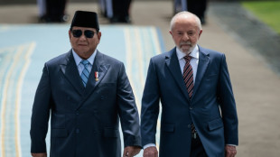 Indonesia, Brazil strike cooperation deals as leaders meet