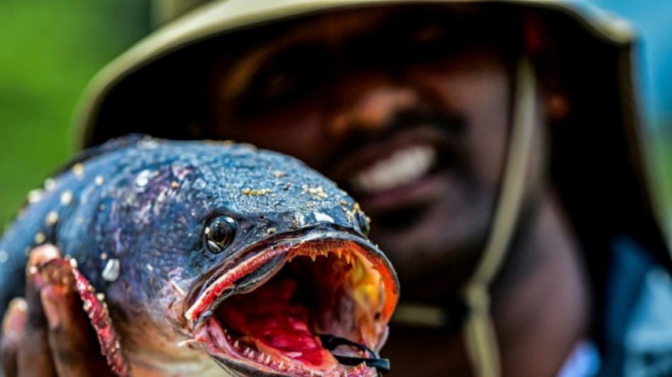 Sri Lanka tries to hook anglers on invasive fish species