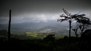 Les volcans du nord de la Martinique inscrits au patrimoine mondial de l&rsquo;Unesco