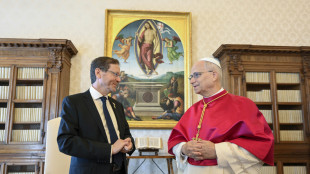 Herzog dal Papa, garantiamo la sicurezza dei cristiani