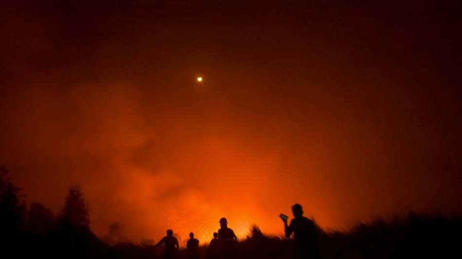  Walking through flames: orangutan rescued in Indonesia fires 
