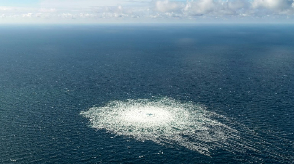 D&auml;nemark birgt mysteri&ouml;ses Objekt in der N&auml;he von Nord Stream 2