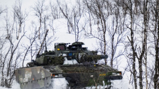 Nordics, Lithuania plan joint purchase of combat vehicles
