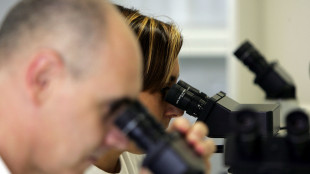 Una nuova IA per i farmaci antitumorali, ragiona come uno chef