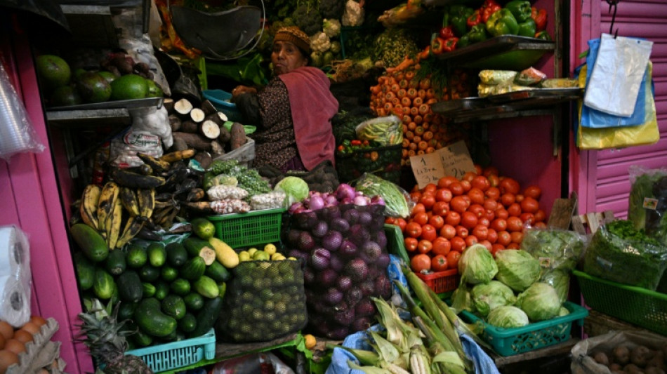  Banco Mundial alerta para forte alta nos pre&ccedil;os dos alimentos at&eacute; 2027 