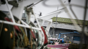 Concurrence accrue, tension sur la ressource: les p&ecirc;cheurs &agrave; Cherbourg pour leurs assises
