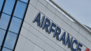 Air France n'avait pas le droit d'interdire les tresses afro &agrave; un steward, tranche la Cour de cassation
