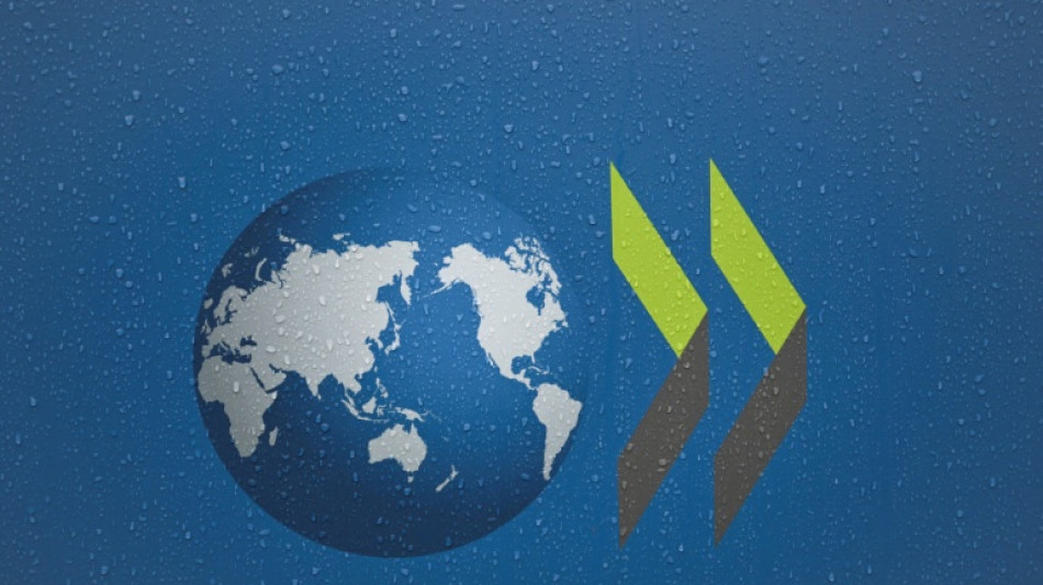  Aide au d&eacute;veloppement: l'OCDE s'inqui&egrave;te d'une "baisse historique" en 2025 