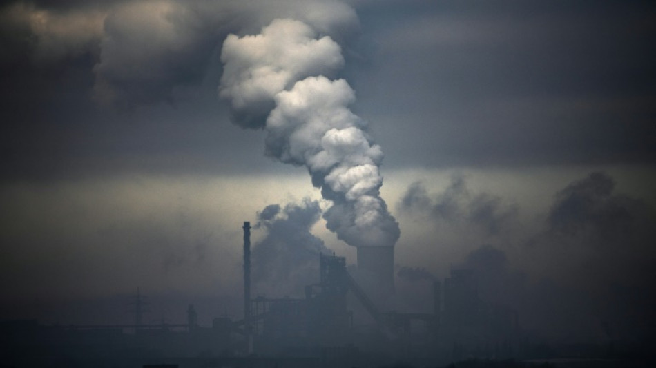 &iquest;C&oacute;mo calculan las empresas sus emisiones de gases de efecto invernadero?