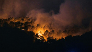 One dead, nine injured in huge France wildfire