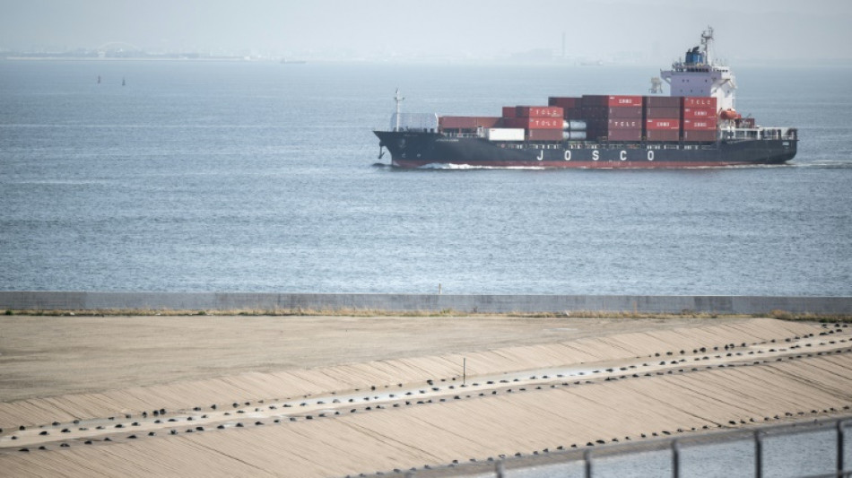 Tokyo's tariff envoy says US talks 'constructive'