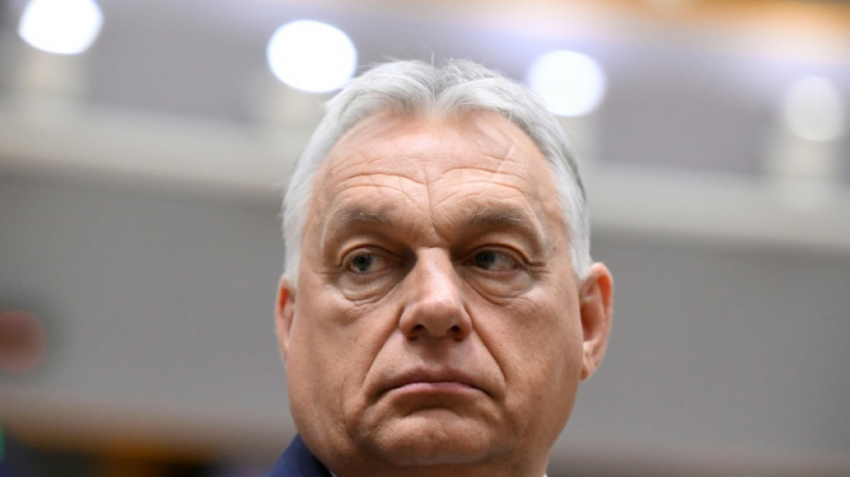 Hungary web users lap up footage of PM Orban's family estate