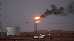 Opec+ decide un nuovo aumento della produzione a luglio