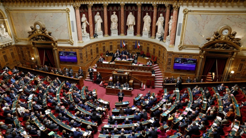  Le projet de loi "casseurs-payeurs" adopt&eacute; et &eacute;largi au S&eacute;nat, en plein coeur de la contestation 