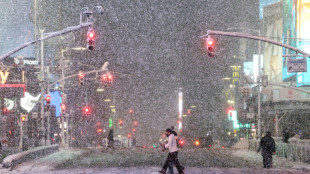 New York &agrave; l'arr&ecirc;t en raison d'une violente temp&ecirc;te de neige