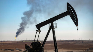 El crecimiento de la demanda de petr&oacute;leo ser&aacute; "fuerte" en 2025, proyecta la AIE