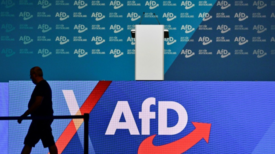  AfD-Parteitag er&ouml;ffnet - Chrupalla: Partei steht bereit zum Regieren 
