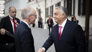 Orban, 'Salvini &egrave; il patriota pi&ugrave; coraggioso d'Europa'