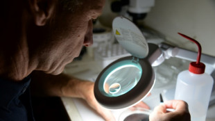 La lucha contra los micropl&aacute;sticos provoca tensiones dentro de la UE