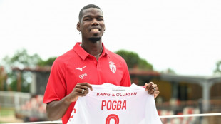 Monaco's Pogba 'dreams' of returning to France squad