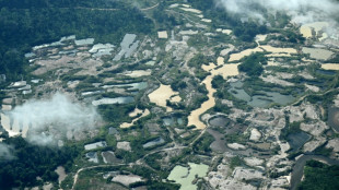Brazil deforestation hits new low in Amazon