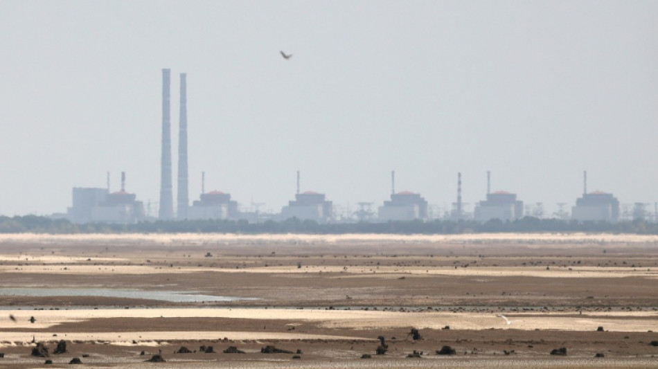  El OIEA advierte sobre un aumento de los cortes de energ&iacute;a en una planta nuclear en Ucrania 