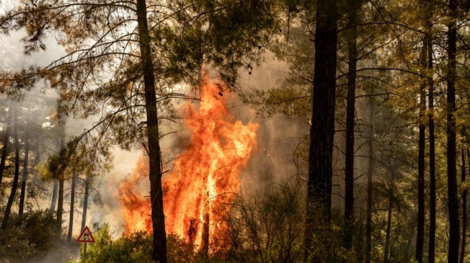  Turkey fights to last major blaze inland from Bodrum 