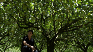 Pescadores y agricultores de Taiw&aacute;n sienten el azote de las sanciones chinas