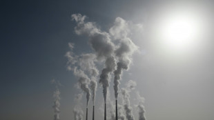 La d&eacute;pendance &agrave; l'&eacute;gard des &eacute;nergies fossiles compromet la sant&eacute; des humains, selon une &eacute;tude