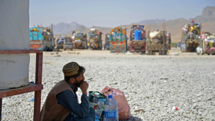 M&aacute;s de 200.000 afganos abandonaron Pakist&aacute;n desde abril