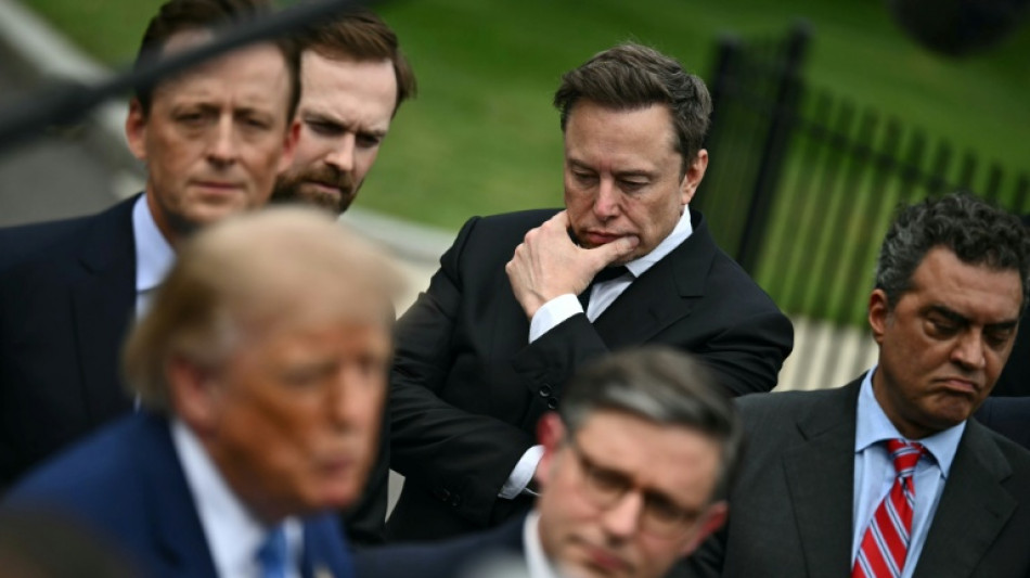 Musk returns to US government for Pentagon war study