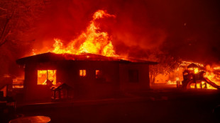 Natural disasters caused $135 bn in economic losses in first half of 2025: Swiss Re