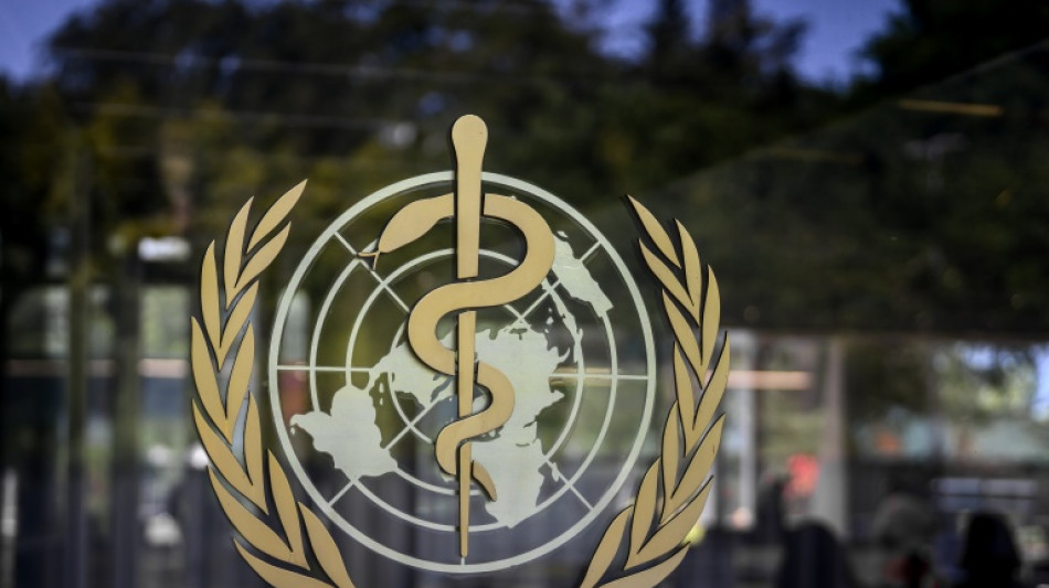  France reports first human Shamonda virus case, says no health risk 